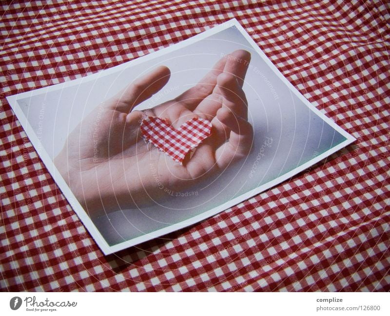 Heart in your hand Detail Macro (Extreme close-up) Deserted Copy Space right Copy Space top Copy Space bottom Handicraft Trip Table Kitchen Valentine's Day