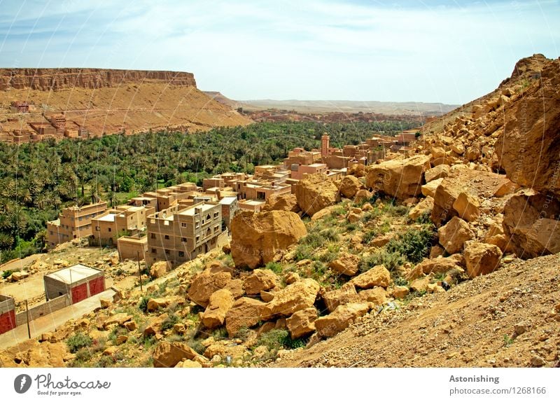 Green valley Environment Nature Landscape Sand Sky Clouds Horizon Summer Weather Beautiful weather Drought Plant Tree Forest Hill Rock Oasis Morocco Small Town