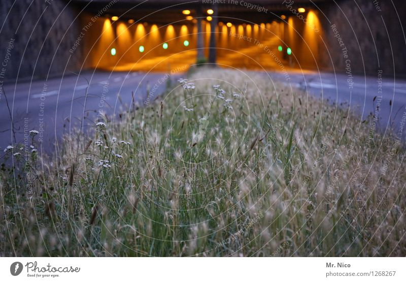 north-south journey Plant Town Tunnel Transport Traffic infrastructure Road traffic Street Gloomy Median strip Light Lighting Grass Multi-line City highway