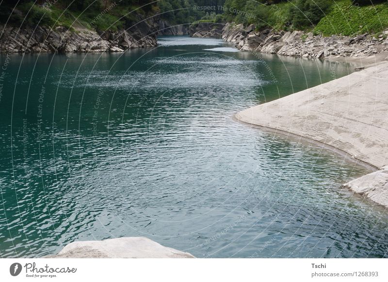 Rhine still small + fine Wellness Life Harmonious Relaxation Calm Leisure and hobbies Vacation & Travel Nature Landscape Water Rock River Lower Rhine Valley