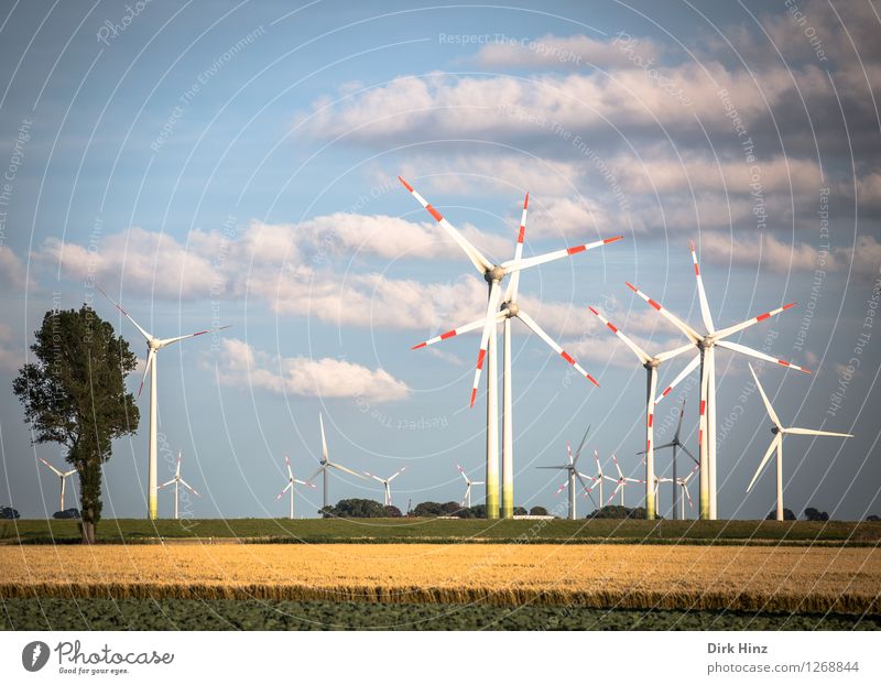 Wind farm in Dithmarschen Technology Advancement Future Energy industry Renewable energy Wind energy plant Energy crisis Industry Environment Nature Landscape