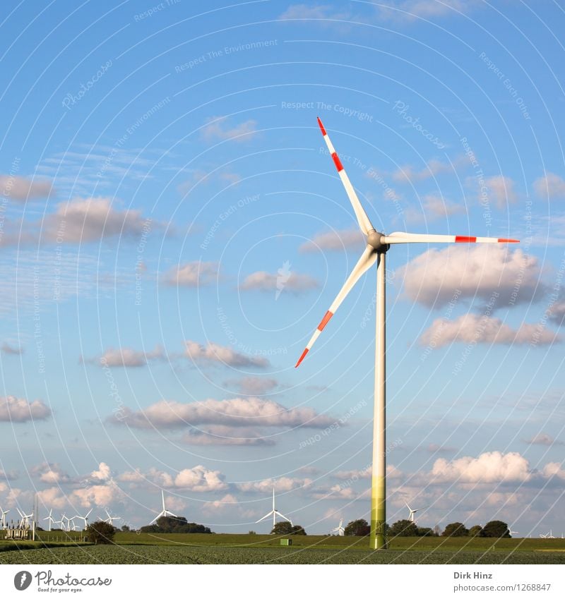 Wind farm in Dithmarschen Machinery Technology Advancement Future Energy industry Renewable energy Wind energy plant Energy crisis Environment Nature Landscape