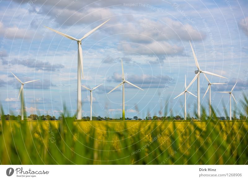 Wind farm in Dithmarschen Technology Science & Research Advancement Future Energy industry Renewable energy Wind energy plant Industry Environment Nature