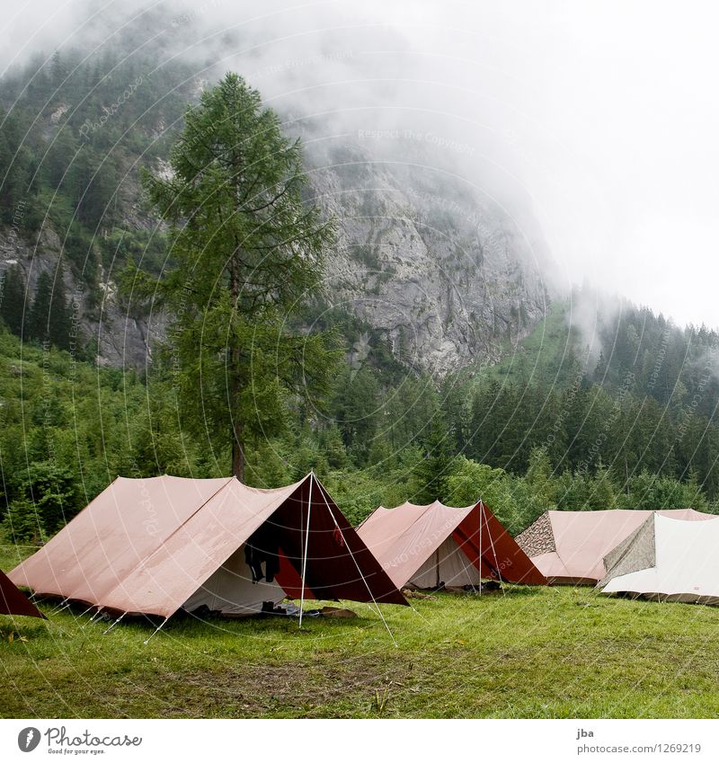 tent village Life Contentment Summer Mountain pedagogy youth legion Tent camp summer camp Nature Bad weather Fog Fir tree Rock Alps Saanenland Switzerland