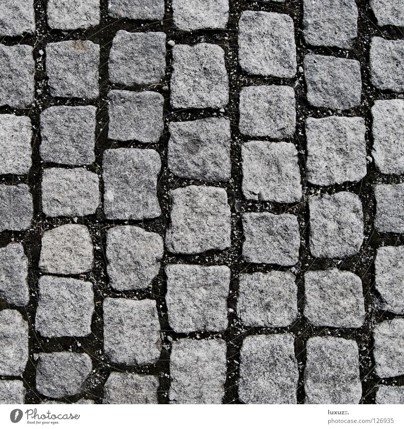 stone by stone Cobblestones Parking lot Vertical Structures and shapes Square Gray Granite Hard Natural stone Pedestrian precinct No smoking Mosaic Sheepish