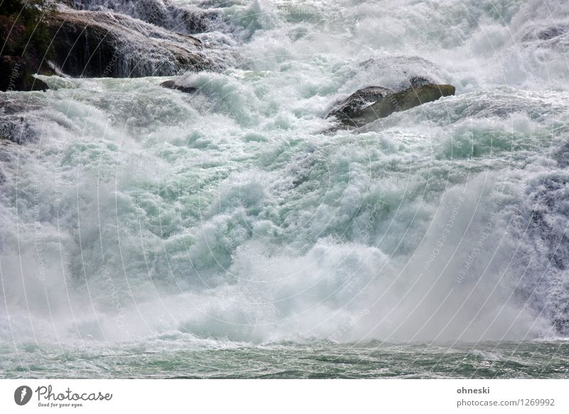 1100 - Energy Elements Water River Rhine Waterfall Rhein falls Rock Switzerland Power Environment Force of nature Colour photo Exterior shot Deserted