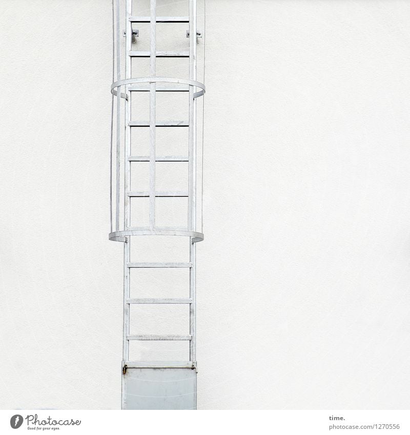 |=| Wall (barrier) Wall (building) Fire ladder Level Brave Determination Unwavering Orderliness Fear Horror Fear of death Fear of heights Dangerous Stress