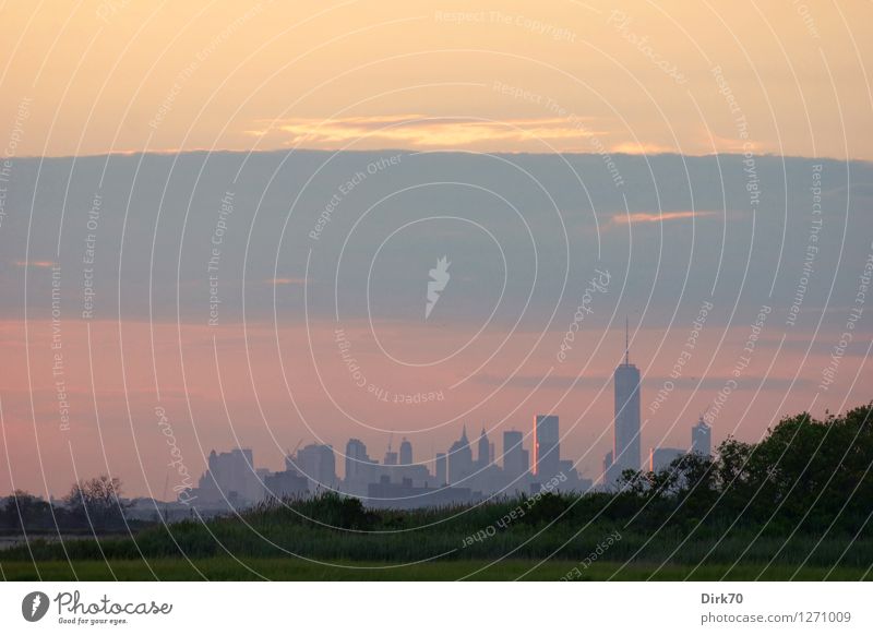 Manhattan skyline from afar Vacation & Travel Tourism Environment Nature Sunrise Sunset Summer Beautiful weather Tree Grass Bushes Lakeside New York City