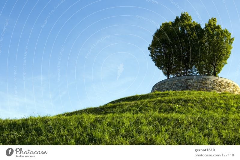 For Bill Surface Tree Hill Summer Background picture Green Meadow Garden Park Decoration windows XP 2003 3.1 95 98 vista bill Gate microsoft Landscape Blue Sky