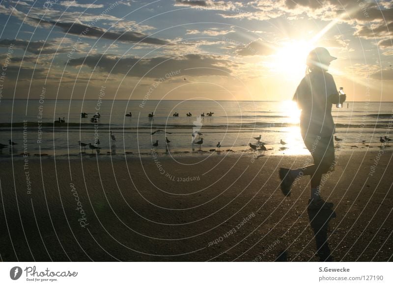 sunset jogger Sunset Jogger Florida Beach Sports Playing USA