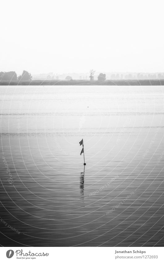 Oh dear buoy Environment Nature Landscape Air Water Sky Cloudless sky Coast Lakeside River bank Gloomy Sadness Longing Gray Buoy Flag Float in the water Horizon