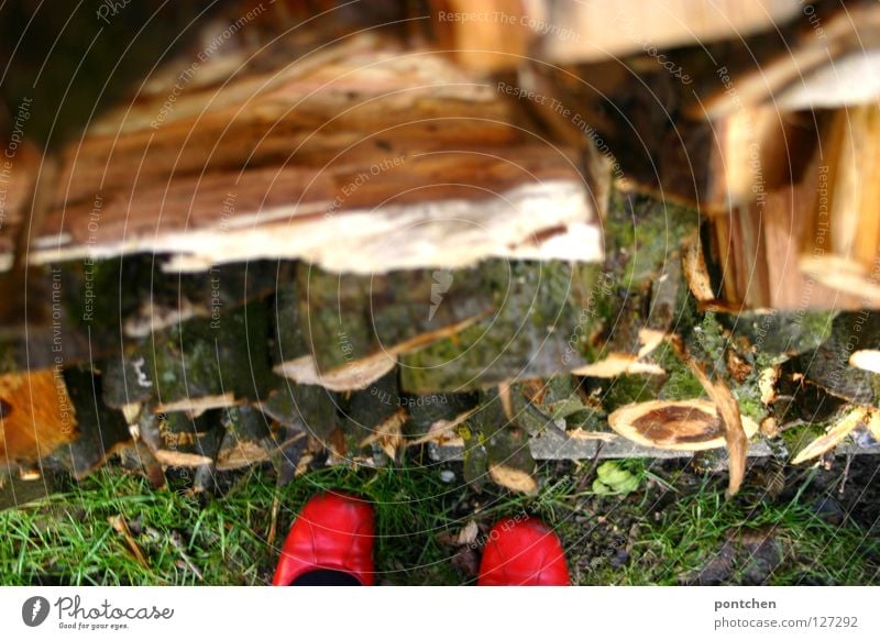 Woman with red shoes stands in front of piled up logs Firewood Winter Adults feet Human being Autumn Warmth Garden Clothing Footwear chill Above Under Red Heap