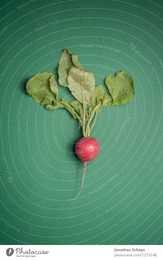 The radish minimalist before dark green Food Vegetable Lettuce Salad Eating Lunch Organic produce Vegetarian diet Diet Fasting Slow food Finger food Esthetic