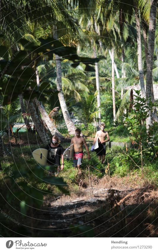 Jungle Surfers Lifestyle Joy Body Adventure Far-off places Freedom Beach Ocean Island Waves Sports Aquatics Surfing Human being Masculine Young man