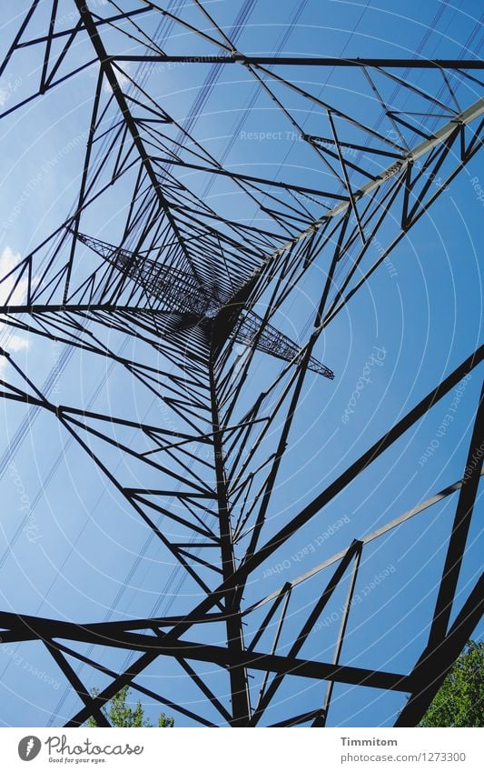 Connections. Energy industry Sky Clouds Tree Electricity pylon Metal Line Tall Above Blue Green Black Considerable Esthetic Colour photo Exterior shot Deserted