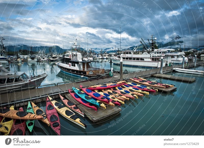 Kayak-Mikado Fjord Navigation Passenger ship Sailboat Yacht harbour Beginning Discover Calm Tourism Valdez Alaska Closing time Exterior shot Copy Space top