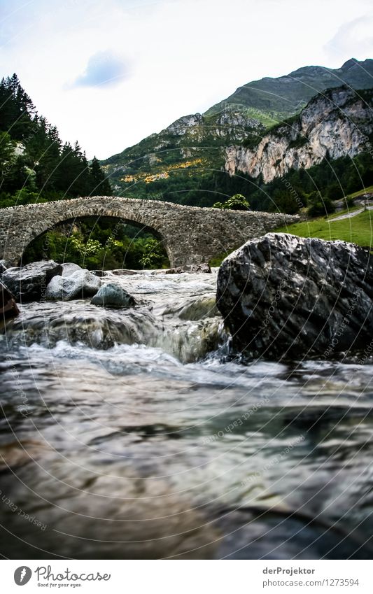 Pyrenees Hiking Trail 12 Vacation & Travel Tourism Trip Adventure Freedom Mountain Environment Nature Landscape Plant Animal Summer Beautiful weather Rock Peak