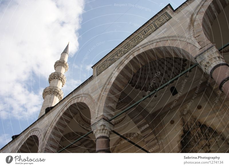 The view to God (Allah) Culture Clouds Sun Winter Istanbul Turkey Europe Capital city Old town Church Discover Vacation & Travel Looking Esthetic Attentive