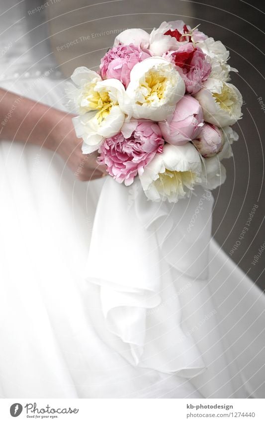 Bridal bouquet of colorful flowers Wedding Hand Flower Rose Blossom Clothing Bouquet Multicoloured Pink White Emotions bloom bridal bride ceremony church floret