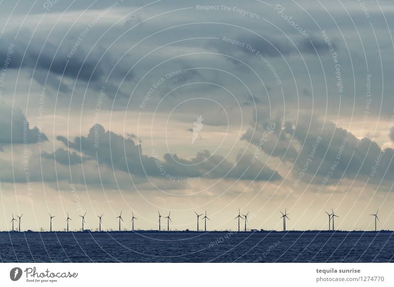 wind power Energy industry Renewable energy Wind energy plant Sky Clouds Horizon Coast Beach North Sea Eemshaven Port City Harbour Cold Blue Gray Colour photo