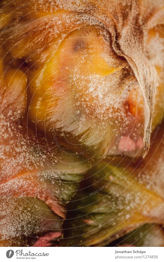 Pineapple I Food Fruit Nutrition Eating Picnic Organic produce Vegetarian diet Fasting Slow food Finger food Esthetic Near Macro (Extreme close-up)