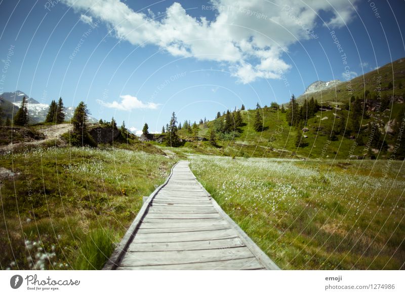 in the green Environment Nature Landscape Sky Spring Summer Autumn Beautiful weather Meadow Hill Mountain Natural Blue Green Hiking Footpath Tourism Switzerland