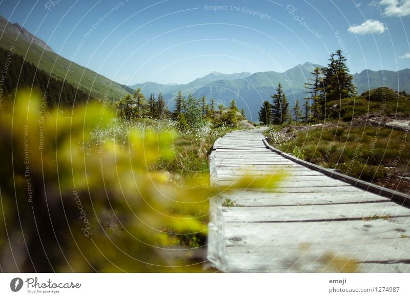 footpath Environment Nature Landscape Sky Cloudless sky Summer Beautiful weather Alps Mountain Natural Blue Green Footpath Tourism Switzerland Colour photo