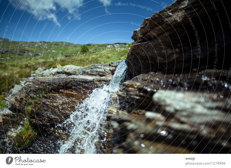 cool and clear Environment Nature Landscape Summer Beautiful weather Brook Sustainability Natural Water Splashing glacial water Switzerland Hiking trip