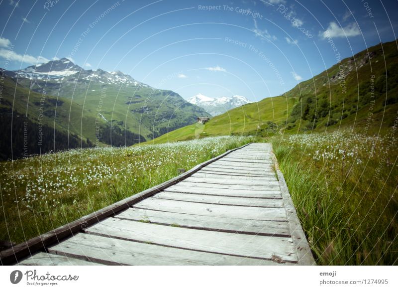 Svizzera Environment Nature Landscape Sky Beautiful weather Meadow Mountain Natural Blue Green Footpath Footbridge Tourism Switzerland Colour photo