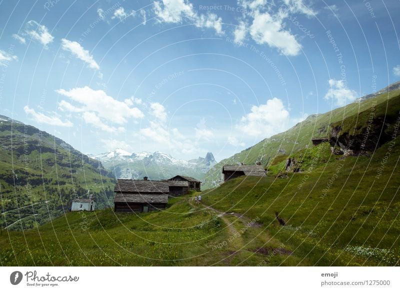 postcard Environment Nature Landscape Sky Summer Beautiful weather Hill Alps Mountain Natural Blue Green Tourism Class outing Switzerland Vals Colour photo