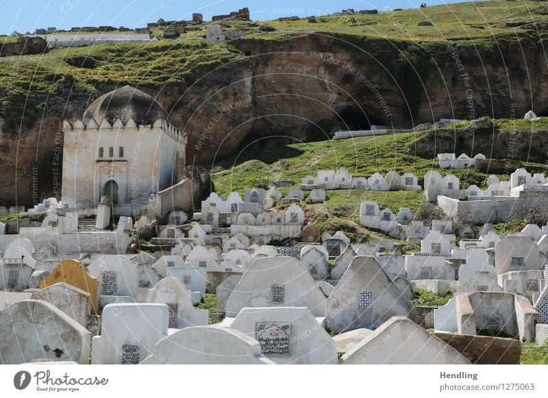 Cemetery over Fés Architecture Fez Morocco Africa Town Manmade structures Building Sign Ornament Calm Belief Death Resting point Cliff Arabic script Rock Meadow