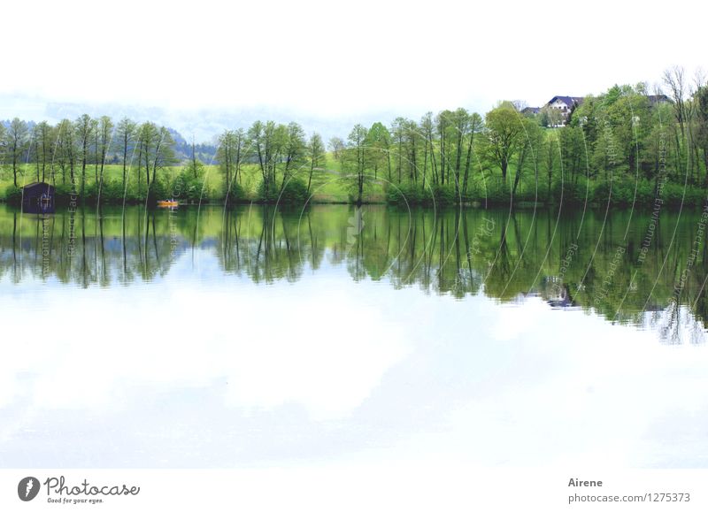 one-to-one Landscape Forest Lakeside Hut Boathouse Fishing boat Rowboat Swimming & Bathing Simple Natural Green Contentment To console Calm Loneliness Nature