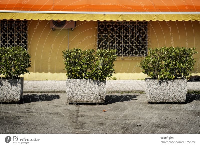 total yellow wall Town Deserted Manmade structures Building Architecture Street Trashy Gloomy Warmth Yellow Green Orange Plant Air conditioning Grating Concrete