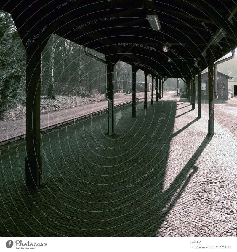 Train missed Train station Manmade structures Dark Platform Cobblestones Colour photo Subdued colour Exterior shot Detail Deserted Copy Space left