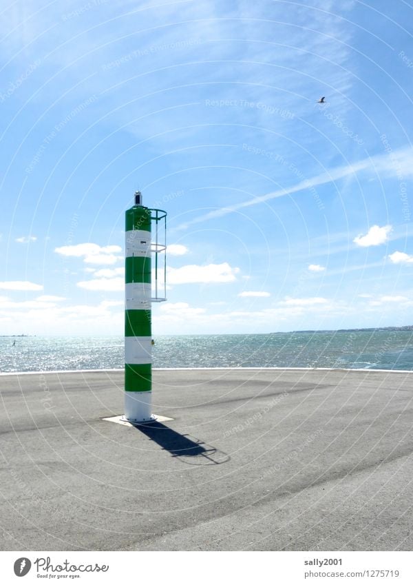 quayside Sky Sunlight Spring Beautiful weather Ocean Atlantic Ocean Harbour Illuminate Esthetic Athletic Far-off places Tall Maritime Round Green Loneliness