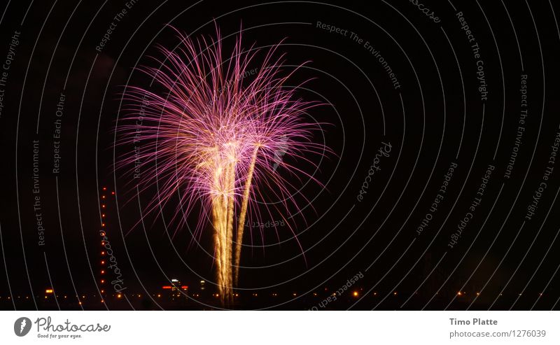 Fireworks Rheinkirmes 05 Feasts & Celebrations Fairs & Carnivals Closing time Multicoloured Pink Firecracker Colour photo Exterior shot Night Panorama (View)