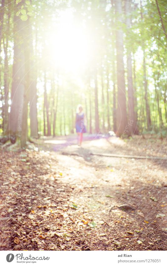 out of the light. Elegant Style Life Hiking Human being Feminine Woman Adults 1 Nature Landscape Plant Animal Sun Sunlight Summer Beautiful weather Tree Bushes