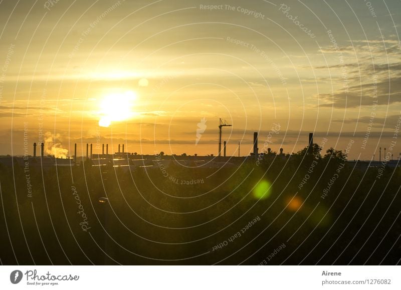 Airport romance III Sky Sunrise Sunset Aviation Gold Black Industrial site Construction site Colour photo Deserted Copy Space top Copy Space bottom Morning Dawn