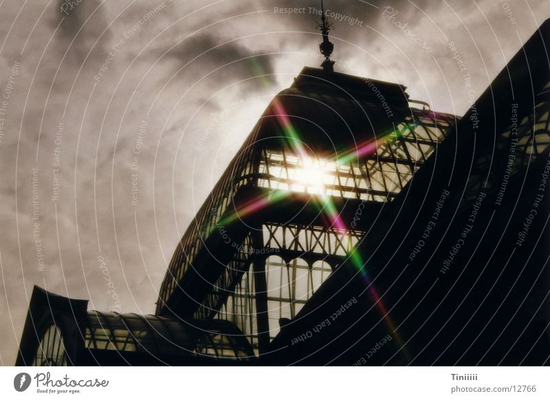 Palacio de Cristal in back light Madrid Back-light Greenhouse Refraction Moody Europe Cristal Palace