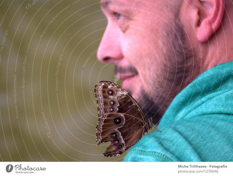 inquisitorial Face Summer Human being Masculine Man Adults 1 30 - 45 years Zoo Nature Animal Facial hair Beard Wild animal Butterfly Wing Observe Flying Crawl