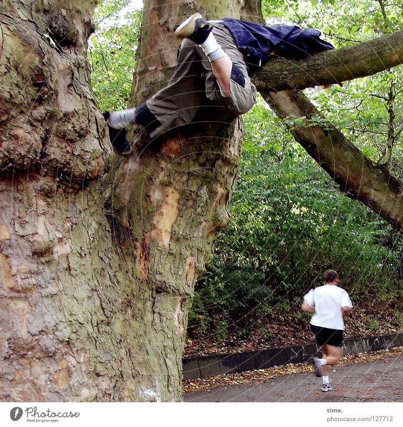 Young tree wanderer (I) Tree Park Perspire Work and employment Completed Forest Garden path Extreme sports Child Branch Climbing Boy (child) Runner Walking toil