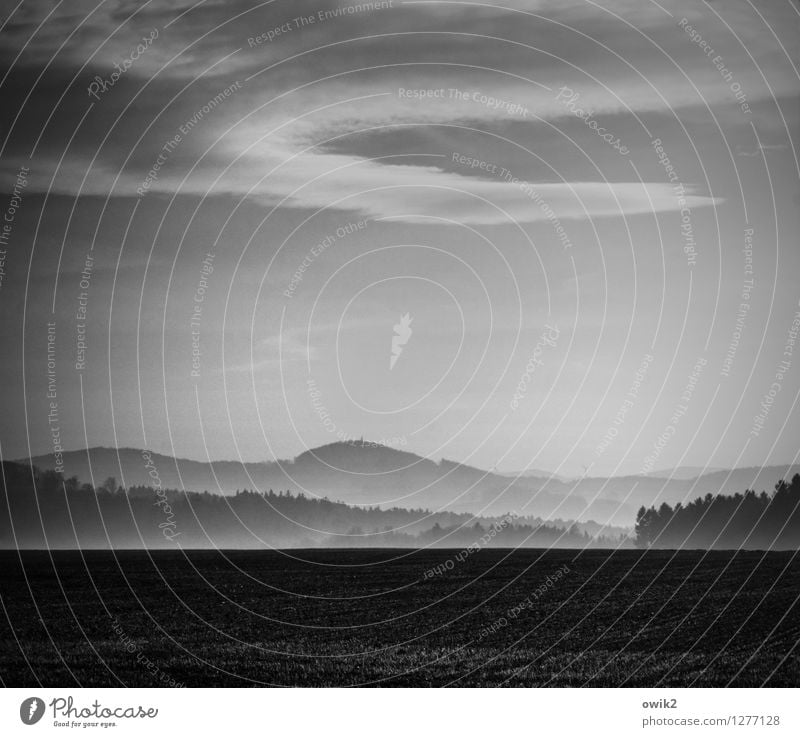 louse morning Environment Nature Landscape Air Sky Clouds Horizon Fog Field Forest Fresh Infinity Calm Idyll Far-off places Morning fog Haze Black & white photo