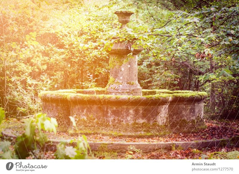 fairytale fountain Lifestyle Design Nature Summer Autumn Garden Park Manmade structures Tourist Attraction Esthetic Dirty Dark Natural Moody Anticipation Kitsch