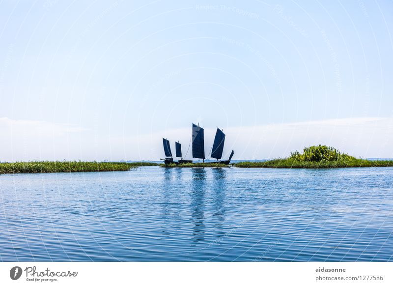 Taihu Lake Nature Water Summer Relaxation Calm Tourism China Junk Reflection Nature reserve freshwater lake Drinking water Colour photo Exterior shot Day