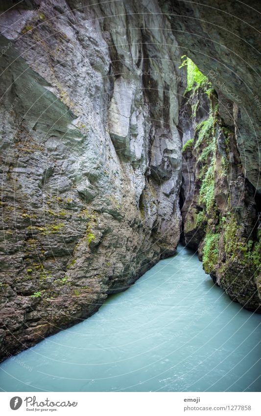 canyon Environment Nature Landscape Water Rock Canyon River Stone Natural Turquoise Switzerland Tourism Destination Attraction Colour photo Exterior shot