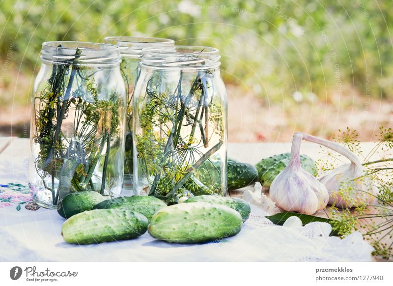 Preparing ingredients for pickling cucumbers Vegetable Herbs and spices Vegetarian diet Garden Fresh Natural Green Canned Dill food Garlic glass healthy