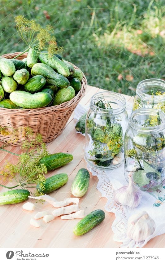 Preparing ingredients for pickling cucumbers Vegetable Herbs and spices Vegetarian diet Garden Fresh Natural Green Basket Canned Dill food Garlic glass healthy