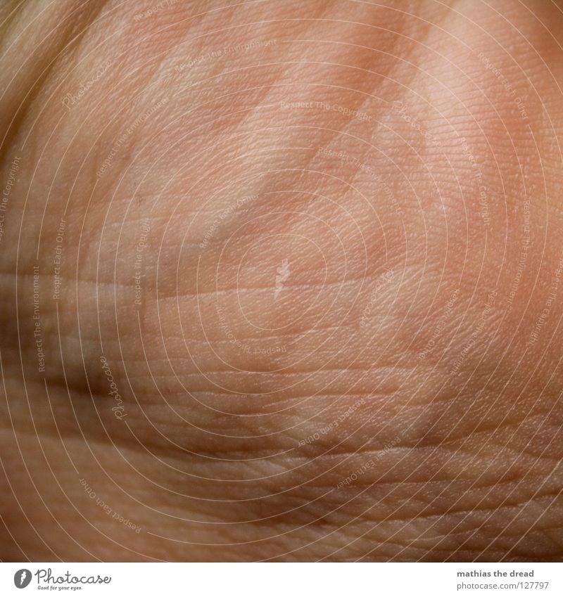 DAILY USE Silhouette Pattern Pore Small Skin color Earmarked Muddled Lighting Vessel Organ Organic Red Life Branched Macro (Extreme close-up) Close-up Healthy