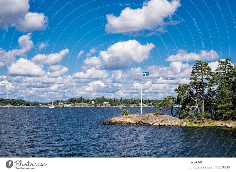 Archipelago on the Swedish coast Relaxation Vacation & Travel Tourism Island Nature Landscape Clouds Tree Forest Coast Baltic Sea Flag Blue Green Idyll Skerry