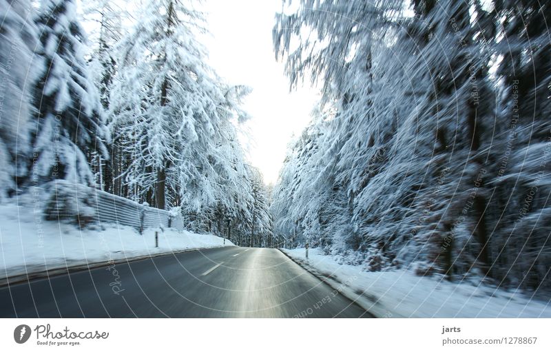 off to the cool Winter Weather Ice Frost Snow Snowfall Tree Forest Street Driving Fresh Wet Speed Nature Haste Colour photo Exterior shot Deserted